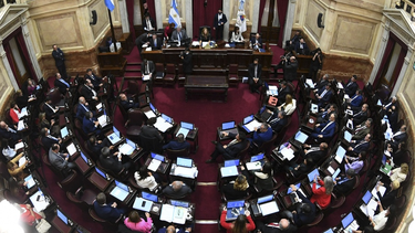el senado aprobo en comision el consenso fiscal firmado con los gobernadores