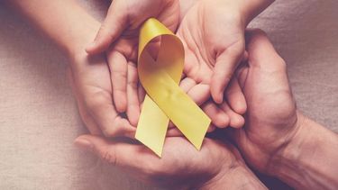 jornada por el dia internacional de la lucha contra el cancer infantil