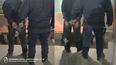 dos jovenes fueron arrestados tras ser sorprendidos a los golpes
