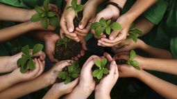 La educación ambiental gana centralidad