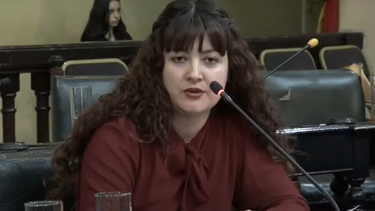 diputada de salta le respondio en ingles a donald trump y le dijo la famosa frase: ¡anda pa alla, bobo!