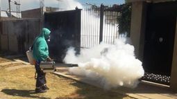 Fumigación. Es considerado el último recurso a aplicar.