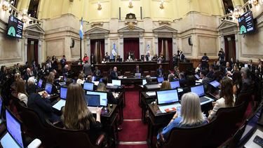 el senado convirtio en ley la baja de la edad de imputabilidad