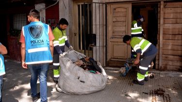 Rescatan de una vivienda 18 perros desnutridos y hacinados