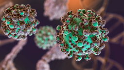 Hantavirus: se identificaron 3 nuevos casos en Argentina Hantavirus: se identificaron 3 nuevos casos en Argentina