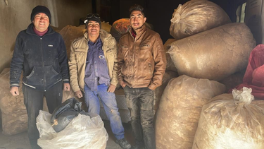 Cooperativa catamarqueña vendió fibra de vicuña a una reconocida empresa