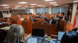 El Senado dará acuerdo a Mera, pero introduciría cambios en el decreto