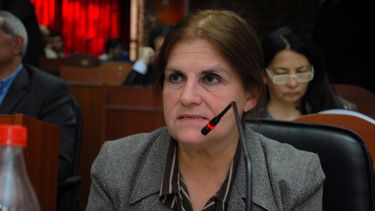 Es un proyecto menos ambicioso que una reforma