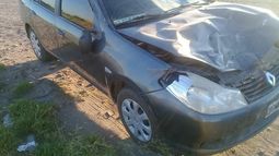 Nuevamente un animal suelto causó un accidente sobre una ruta
