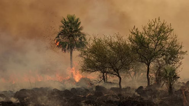 se incendiaron mas de 110 hectareas en chubut por un cigarrillo mal apagado