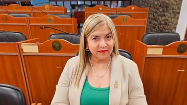 gomez denuncio amenazas y apunto contra marchioli