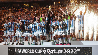 por primera vez en 52 anos, la tv publica no transmitira el mundial de futbol