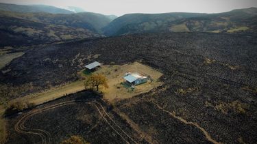 Este. Tras los incendios, el gobierno asistirá con pasturas e infraestructura para productores.&nbsp;