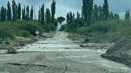 En solo dos meses llovieron 313 milímetros y se revierte el estrés hídrico En solo dos meses llovieron 313 milímetros y se revierte el estrés hídrico