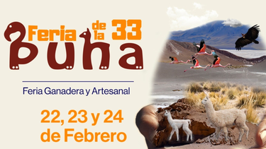 Encuentro. La Feria de la Puna es un encuentro muy esperado.