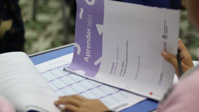 Evaluaciones Aprender 2023