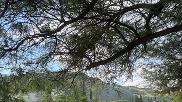 Andalgalá lanzó su temporada turística de verano 2026