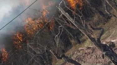 Incendios en Tinogasta