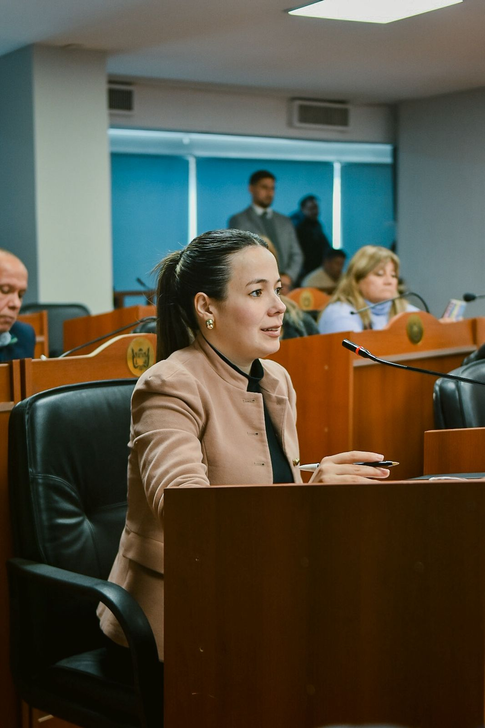 Josefina Herr, diputada provincial.