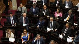 El Senado convirtió en ley la suspensión de las PASO