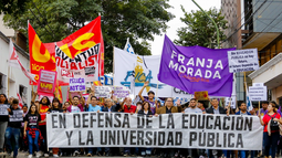 Docentes universitarios perdieron el equivalente a ocho salarios desde la llegada de Milei Docentes universitarios perdieron el equivalente a ocho salarios desde la llegada de Milei