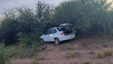 Juzgarán al dueño de un caballo que causó un accidente fatal