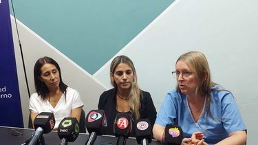 Tras el primer caso de chikungunya, alertaron sobre los síntomas