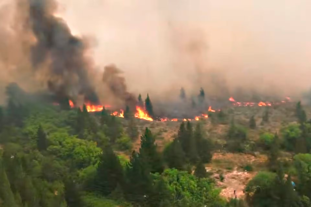 En la Patagonia ya se quemó un área que es 20 veces el tamaño de CABA