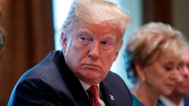 tik tok borro los videos de trump en los que denuncia fraude electoral