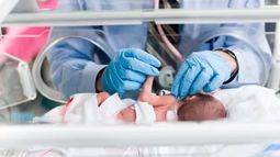 Niños fallecidos. El cuadro muestra las provincias donde hubo mayor cantidad de niños muertos al nacer. Niños fallecidos. El cuadro muestra las provincias donde hubo mayor cantidad de niños muertos al nacer.