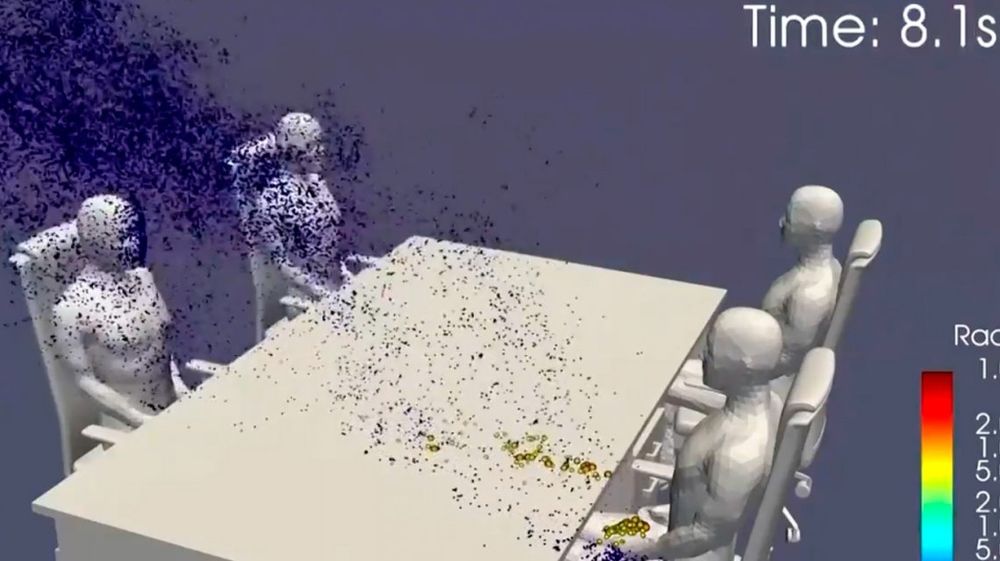 204727.jpg