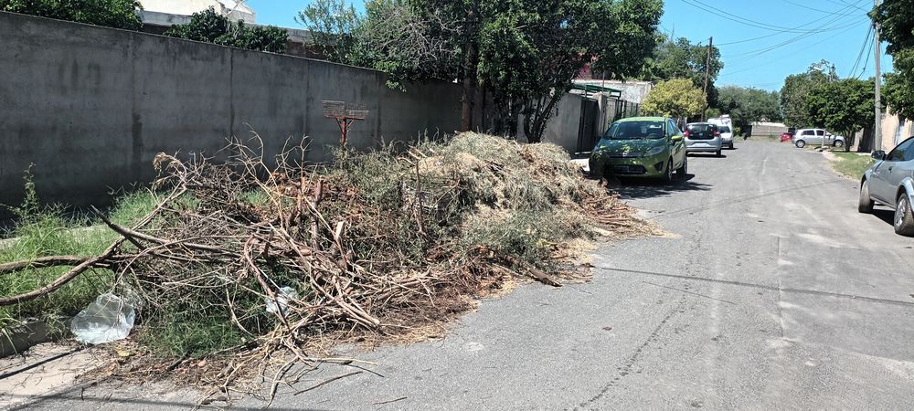 Las ramas y árboles caídos fueron acumulados en las calles.