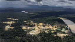 La reserva yanomami fue invadida por mineros ilegales.
