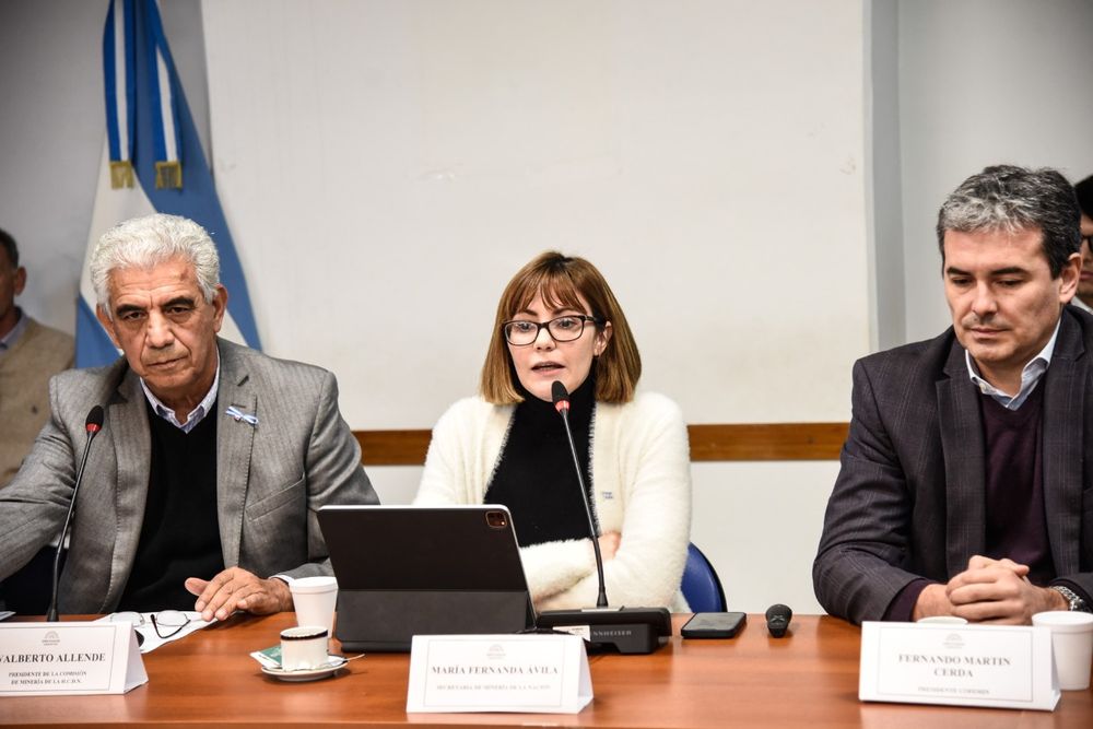 Informes. La secretaria de Minería, Fernanda Ávila, respondió a planteos de los diputados.