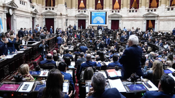 Diputados dio media sanción  a la nueva Ley de Discapacidad