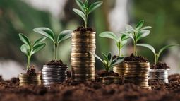 Bonos verdes y sustentabilidad ambiental