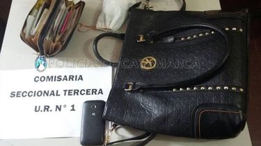 Le arrebataron el bolso a una mujer y los atraparon