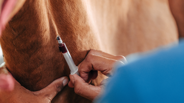 agentes de salud se capacitaron sobre prevencion de encefalitis equina del oeste