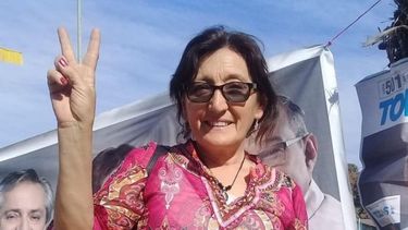 Alcira Figueroa reemplazará a Juan Ameri en Diputados