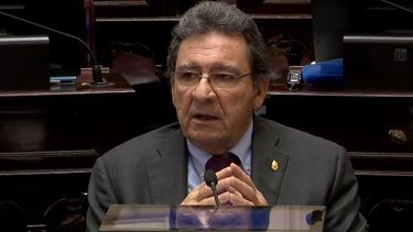 Las argumentaciones completas de los senadores catamarqueños en el histórico debate