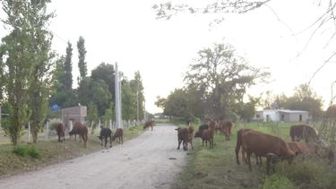Malestar en El Hueco por los hechos de inseguridad