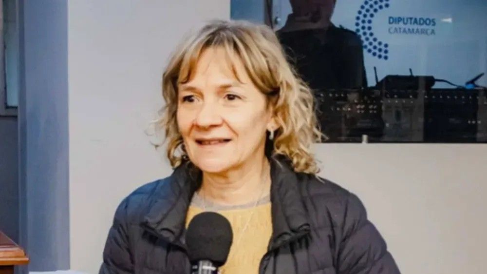 La legisladora Claudia Palladino se refirió a su primera experiencia en el debate presupuestario.
