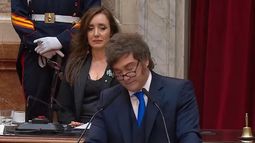 Javier Milei acusó a Victoria Villarruel de traicionarlo y de trabajar para boicotear su gestión Javier Milei acusó a Victoria Villarruel de traicionarlo y de trabajar para boicotear su gestión