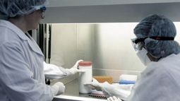 Hubo ocho muertes y se registraron cerca de 800 contagios por coronavirus