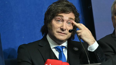 javier milei ofrecio a donald trump el envio de cascos blancos a gaza