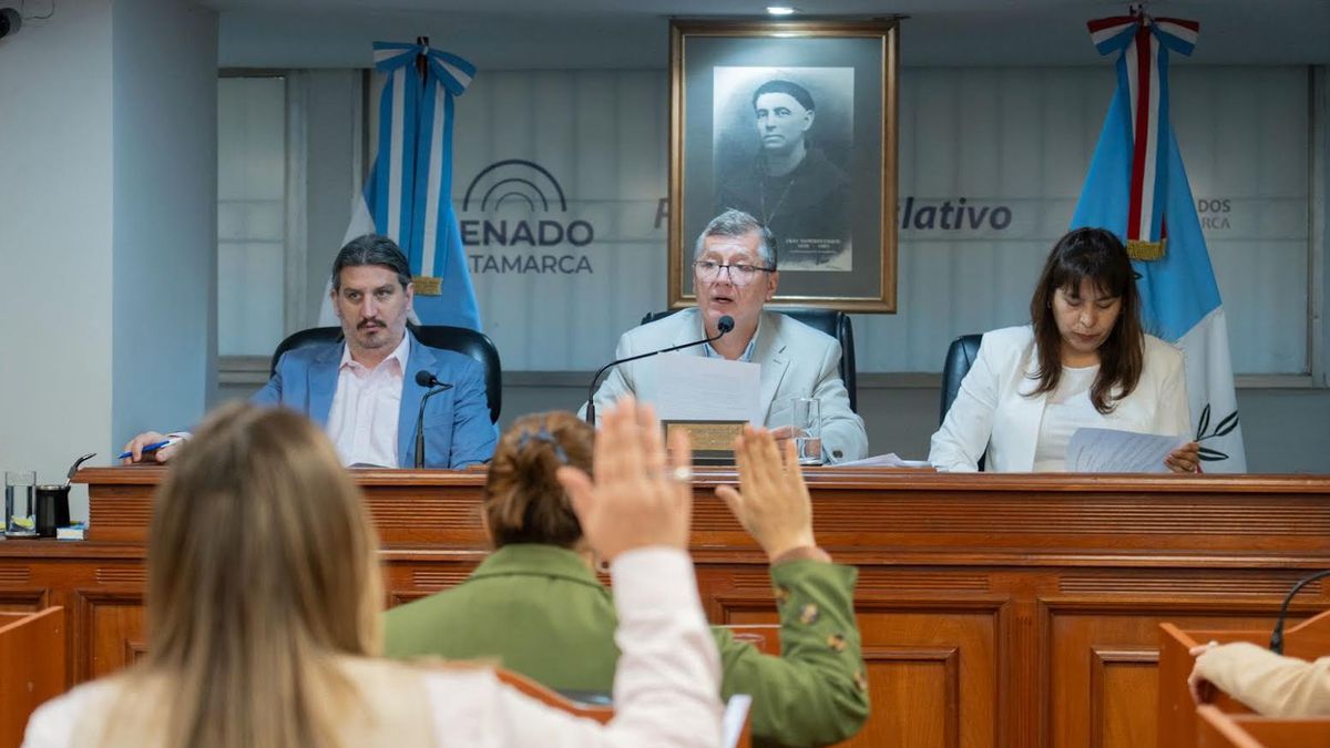 El Senado aprobó iniciativas sobre accesibilidad, obras y reconocimientos