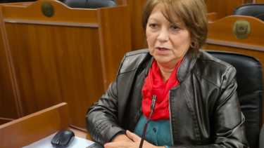 adriana diaz presento un proyecto en repudio a las declaraciones del embajador designado de ee.uu.