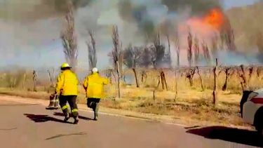 Un voraz incendio afectó la localidad de La Puntilla