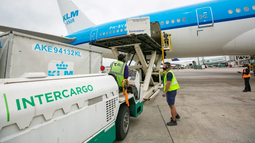 El Gobierno autorizó la privatización total de Intercargo con una licitación