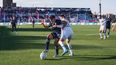 independiente rivadavia elimino a tigre